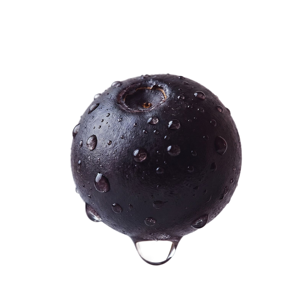 Fresh açaí berry
